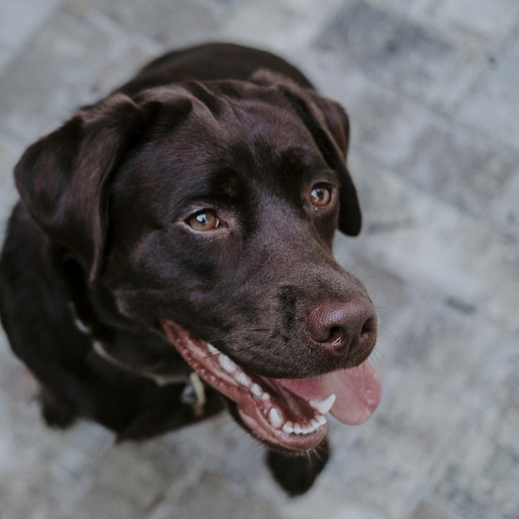 Mason Kapoor, Client Relations Director, discussing corporate gifting strategy with business clients